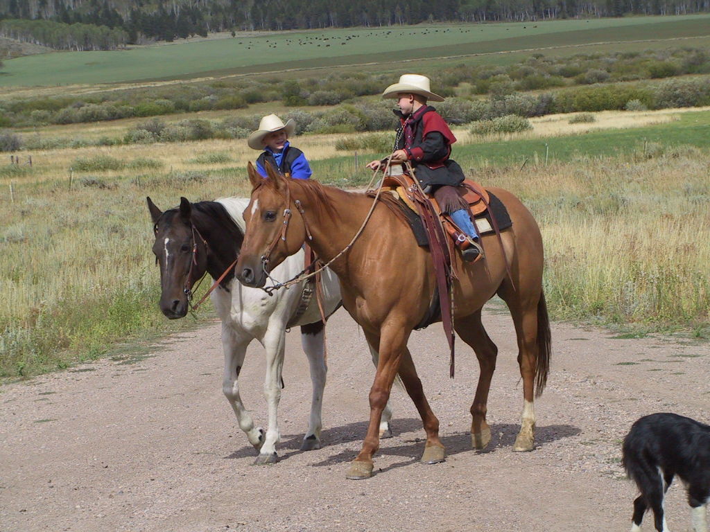 Horsing around on the family ranch